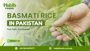 basmati rice in pakistan