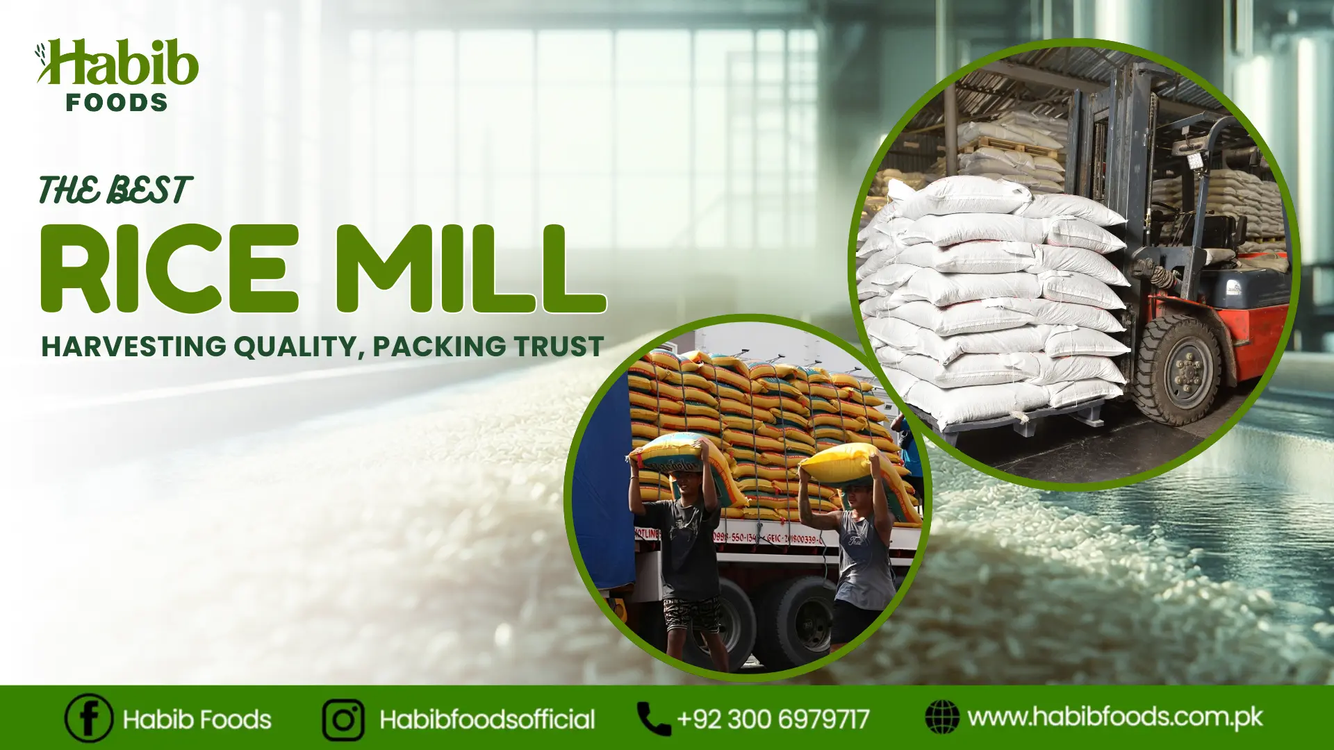 Rice Mill Near Me